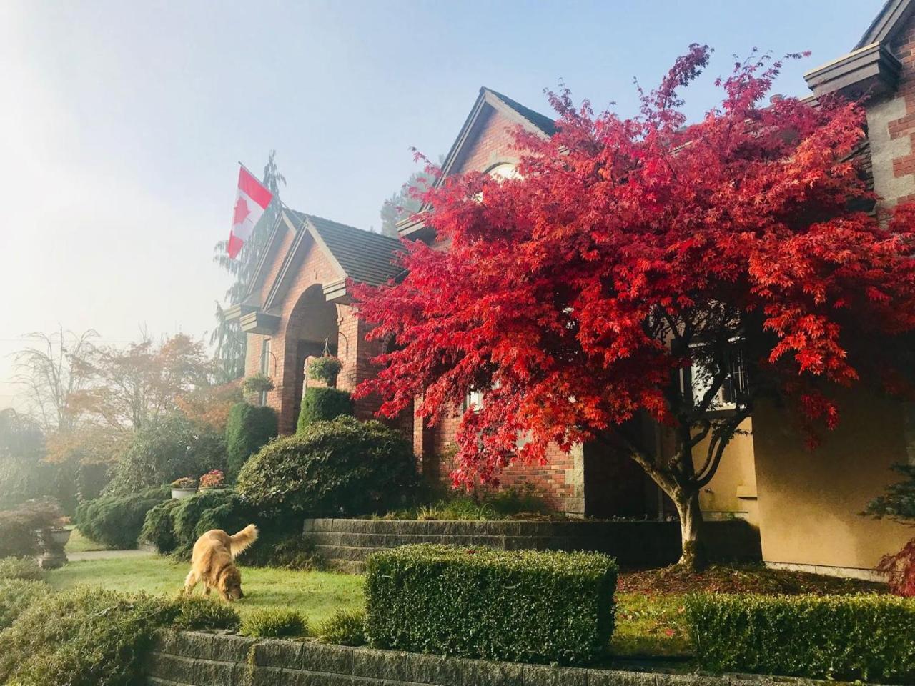 Pitt Meadows Cedar Manor Bed And Breakfast מראה חיצוני תמונה