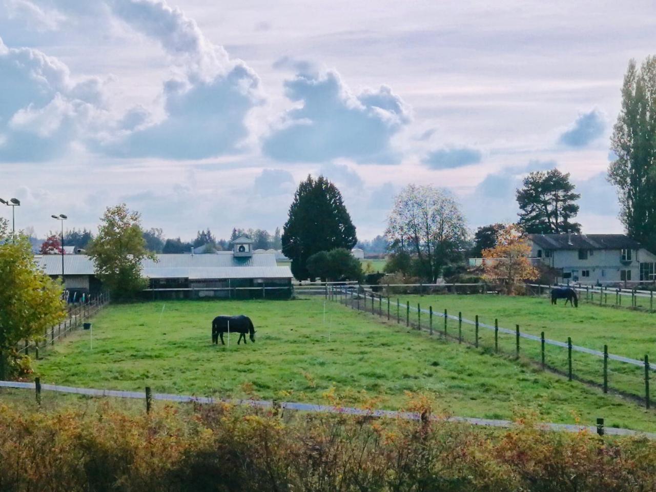Pitt Meadows Cedar Manor Bed And Breakfast מראה חיצוני תמונה